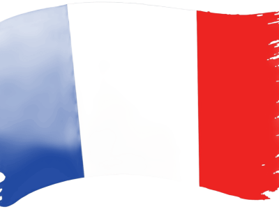 PRUEBA NIVEL FRANCÉS PRUEBA NIVEL FRANCÉS